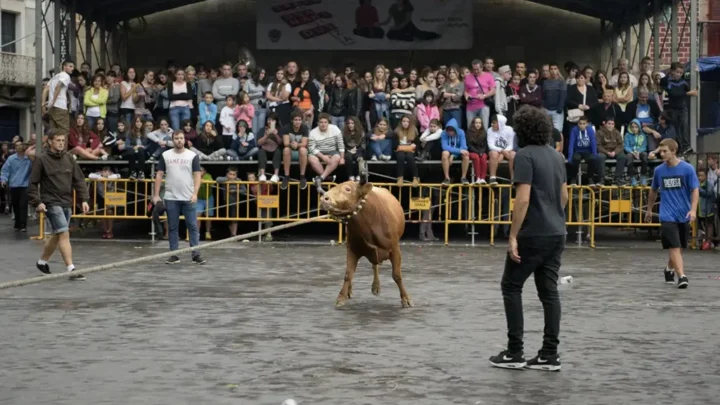 Sokamuturra Ez llama a concentrarse contra el maltrato a las vaquillas en Algorta