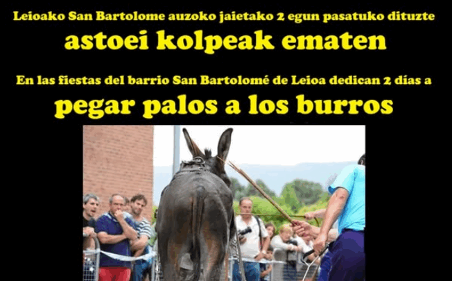 Animalistas llaman a documentar «el maltrato» de las Asto Probak de Leioa