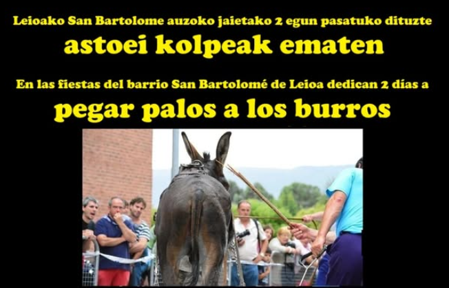 Animalistas llaman a documentar «el maltrato» de las Asto Probak de Leioa
