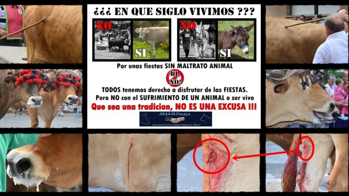 «Se ha permitido romper dos varas sobre el lomo del burro»: denuncia en Leioa contra las Asto Probak
