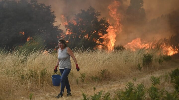 «No convirtamos los incendios forestales en opinática»: Greenpeace pide ir «a los datos y a la normativa»