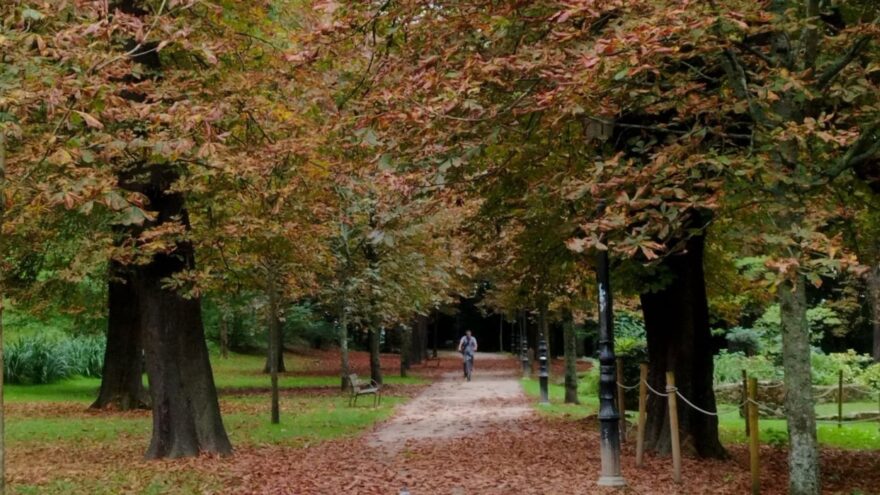 Jueves fresco en Euskadi: chubascos de madrugada y más claros en el interior