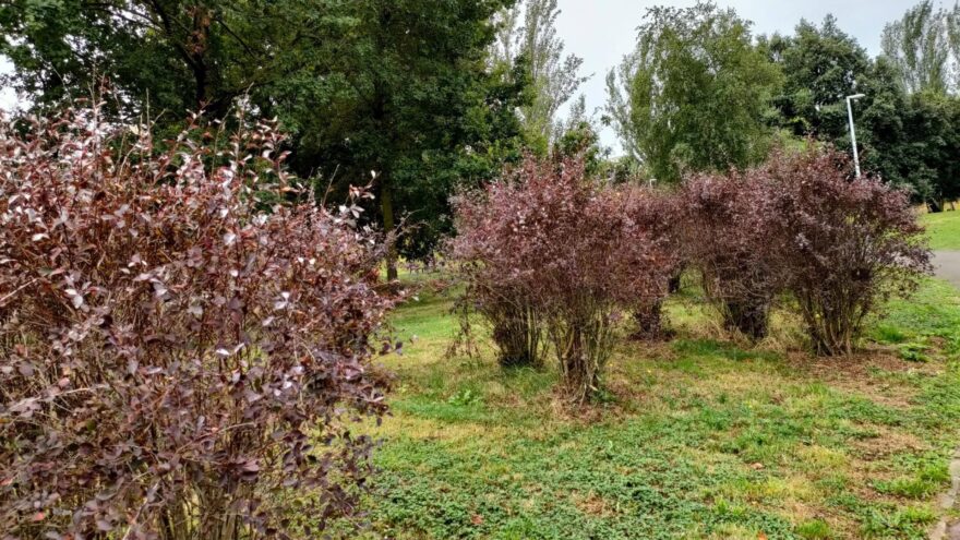 El tiempo este martes en Bizkaia: jornada nubosa con temperaturas en ascenso