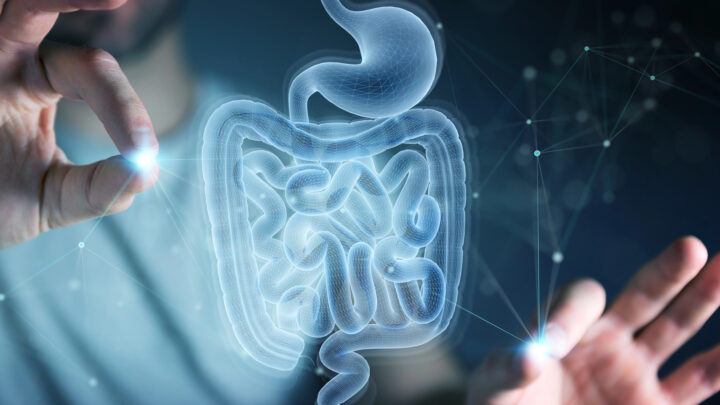 La microbiota da la pista de la salud del cerebro: un análisis fecal podría perfilar el riesgo de Alzheimer