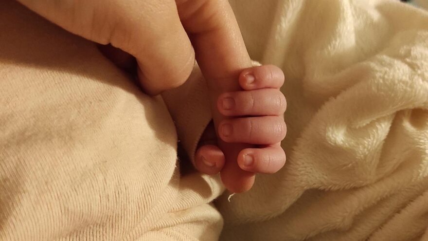 Los nacimientos en Euskadi crecen un 2,4% y una de cada cuatro madres es extranjera