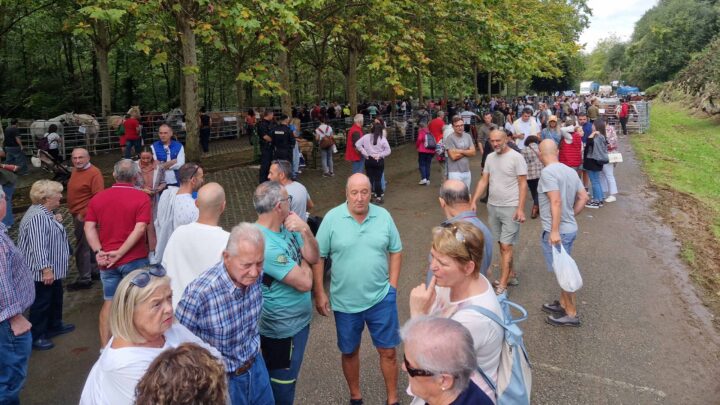 Galdames celebra su II Feria de Ganado Local con cerca de un centenar de animales