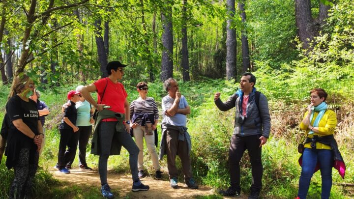 Recorremos Artxanda en busca de nuestro bosque autóctono: Luces y sombras entre bosques y vertederos