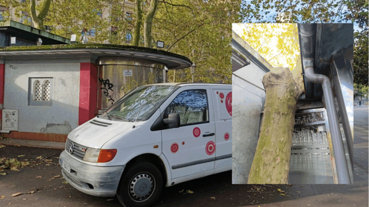 El plátano que ha tumbado el kiosco histórico de Doña Casilda en Bilbao