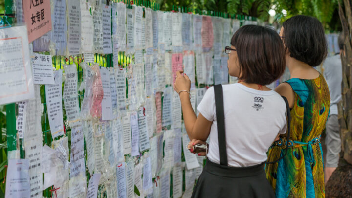 La evolución del ligoteo: «Mercado matrimonial» de China o Tinder para perros