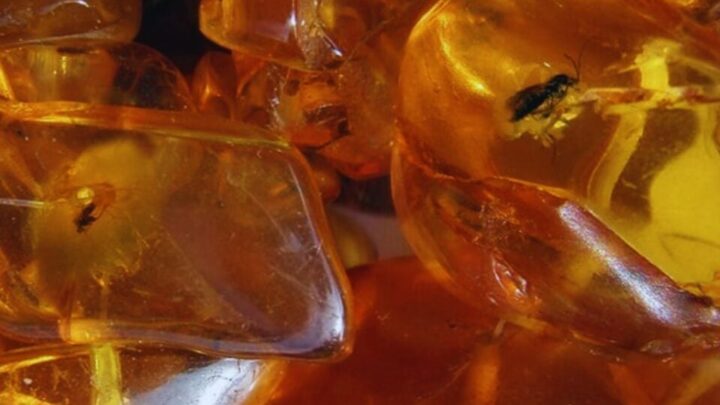 Por qué “Jurassic Park” no puede salir del cine