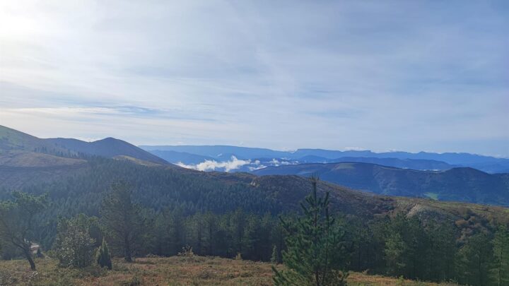 «El contacto debe ser el menor posible»: Eguzki reclama parar la caza de migratorias por la gripe aviar