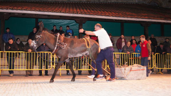 Tres razones por las que Mendata no olvida a sus burros