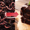 Proteína de gusano en tu brownie: la UOC y una startup vasca apuestan por el maridaje con «sabor a vainilla y fruto seco»
