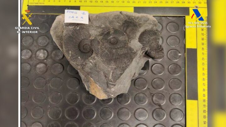 Intervienen en el aeropuerto de Bilbao bienes arqueológicos y paleontológicos de México y Ecuador