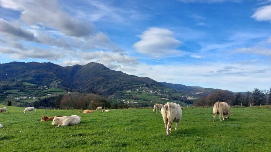 La belleza de Tolosaldea