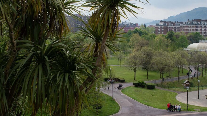 Bilbao actuará contra el picudo rojo con un plan preventivo sobre 228 palmeras