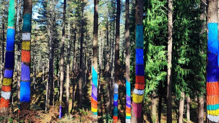 El Bosque de Oma resurge como icono del arte y la naturaleza en Bizkaia