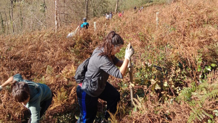 Lurgaia: «Regalar 75m2 de bosque no solo es un regalo material, permite sentirse parte de un proyecto»