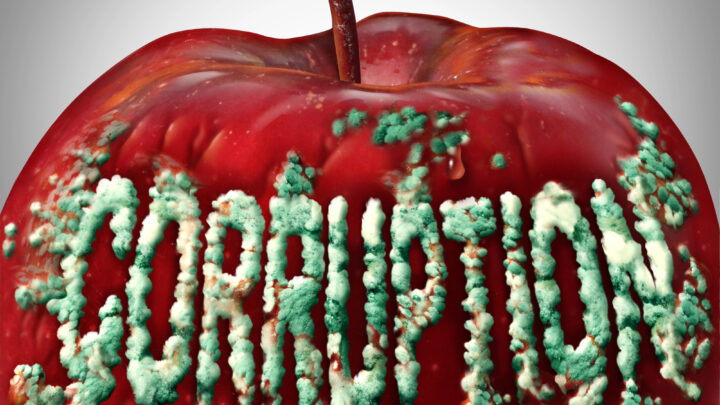 Los chinches apestosos