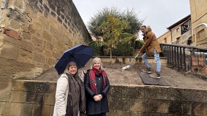Un retoño del Árbol de Gernika echa raíces en Villabuena