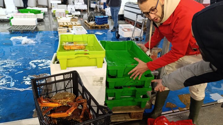 Nos adentramos en el corazón de Mercabilbao