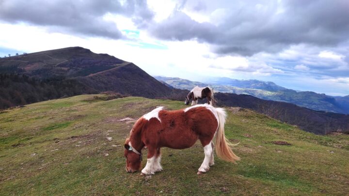 El tiempo este lunes en Bizkaia: precipitaciones escasas en un día nublado