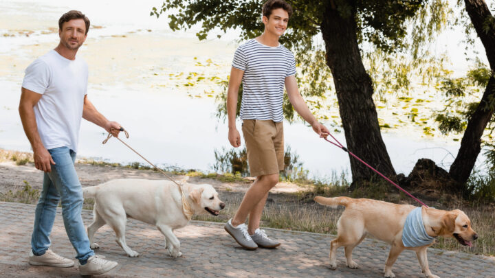 Petardos y perros: el ruido que dispara el miedo en Nochevieja