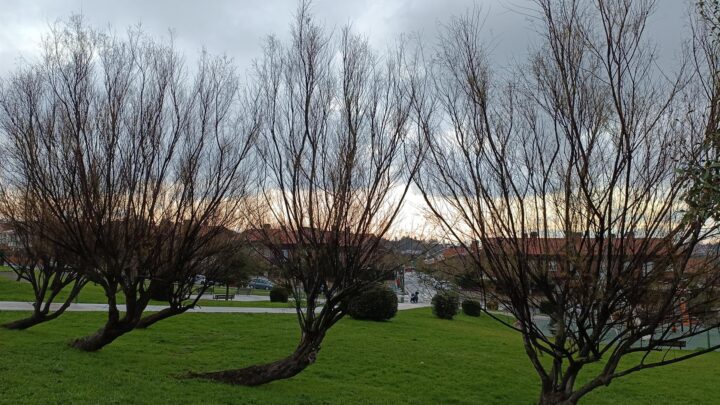 El tiempo para esta Nochevieja en Bizkaia: mejoría del tiempo