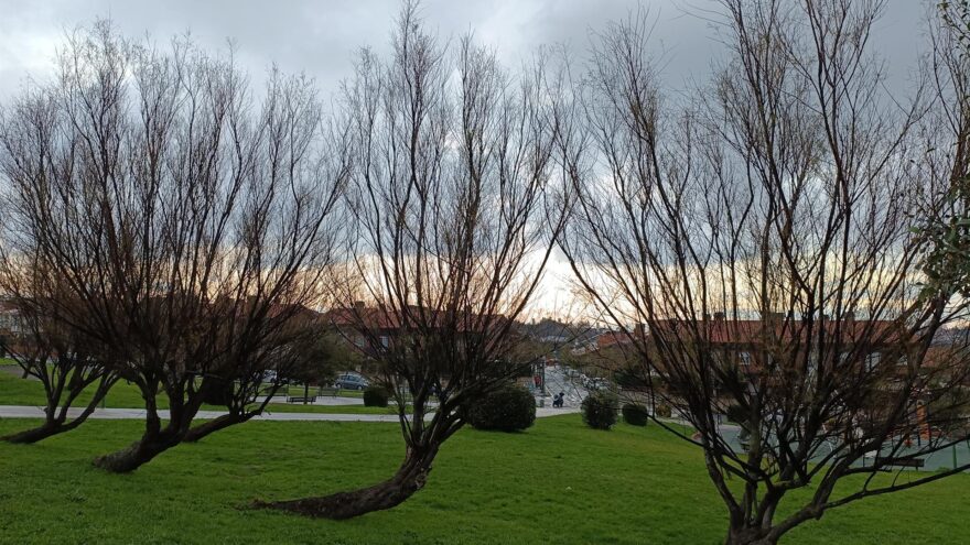 El tiempo para esta Nochevieja en Bizkaia: mejoría del tiempo