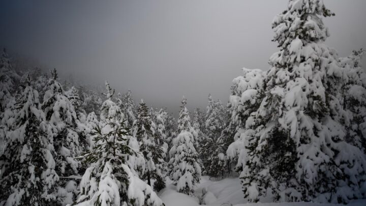 Aviso amarillo en Euskadi: heladas esta tarde y nieve por debajo de 400 metros el martes