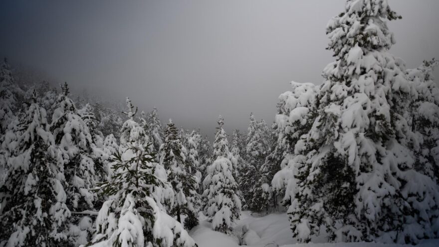 Aviso amarillo en Euskadi: heladas esta tarde y nieve por debajo de 400 metros el martes