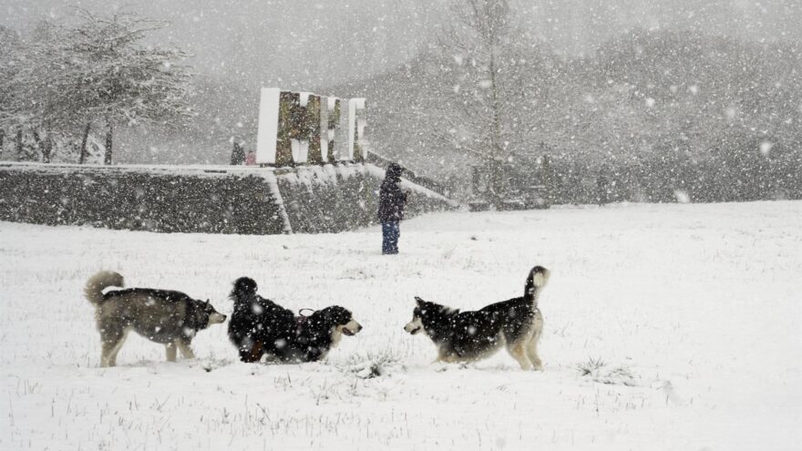 La nieve da una tregua en Euskadi y deja paso a la lluvia
