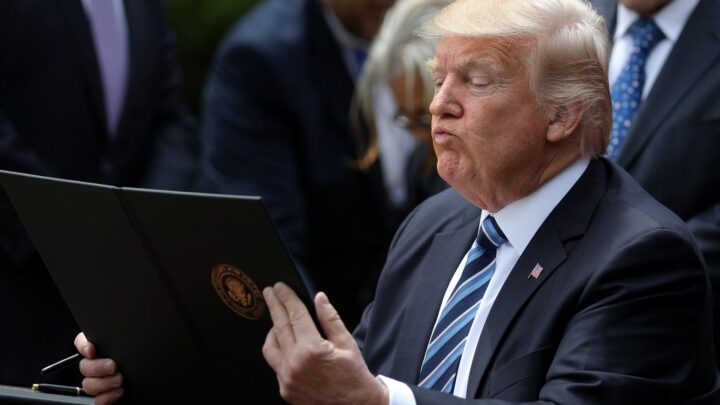 Esperanza en que Trump sea más tonto que malo