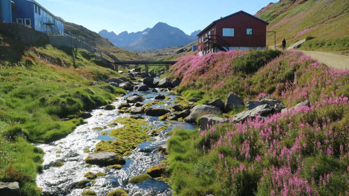El mundo en cinco minutos: toda la información internacional de este jueves 15 de enero