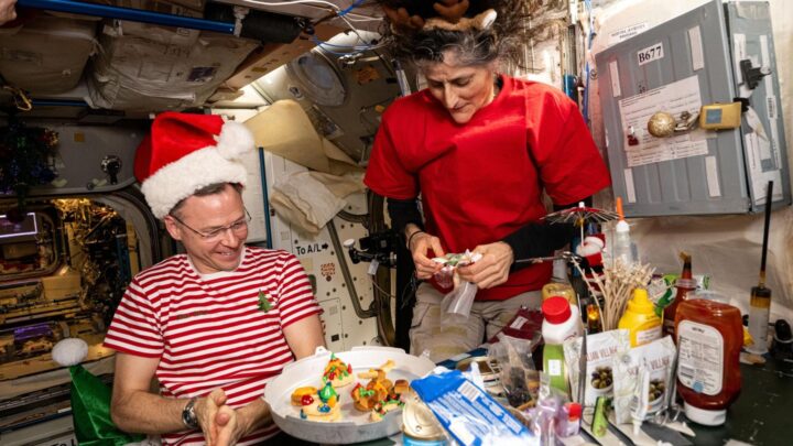 La salud de los astronautas antes de viajar: «Hay muchos a los que se les quita el apéndice»