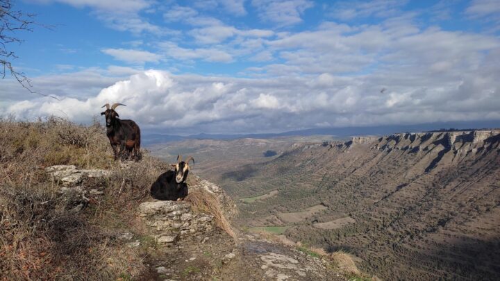 Euskadi registra rachas de viento máximas de 140 km/h en Orduña