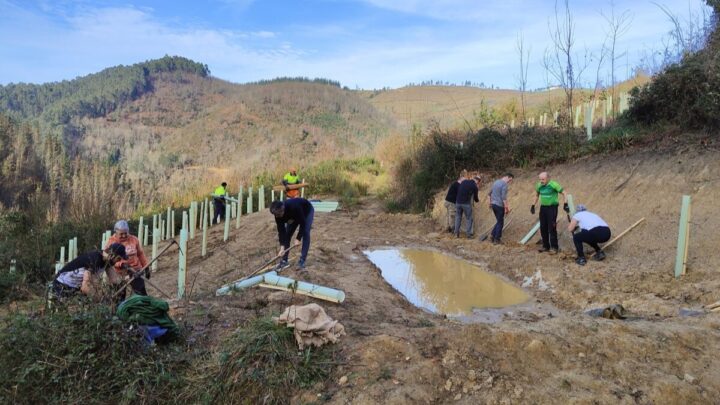 Ziortza-Bolibar inicia la recuperación de los bosques de la zona de Muxo