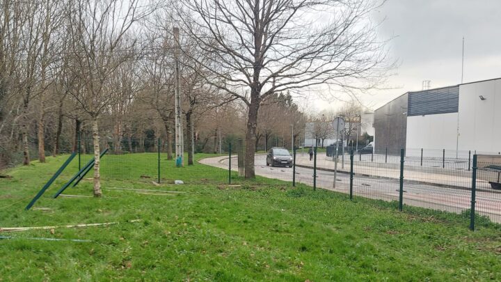 Mungia inicia las obras del nuevo parque canino de Atxurizubi