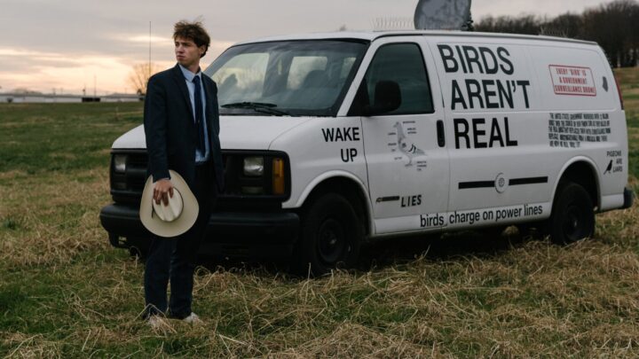 ¿Por qué nos tragamos los bulos? De pájaros que no existen a terapias con excrementos