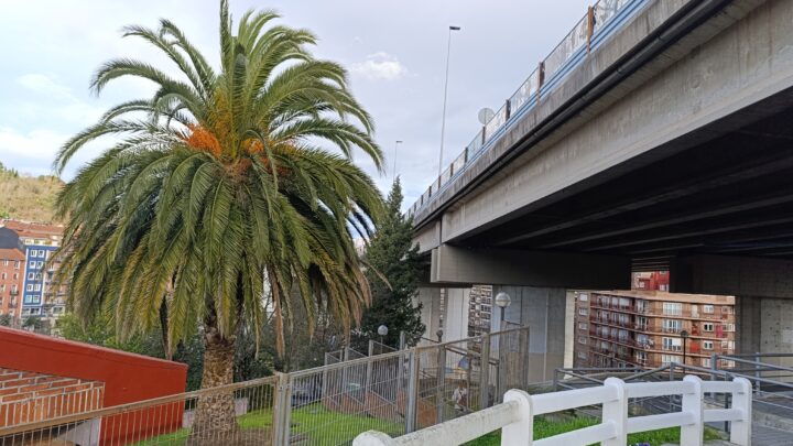 Rekalde, cansado de promesas: el viaducto no caerá hasta 2034