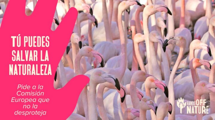 «Mi salud y la naturaleza no están en venta»: alarma ecologista ante el retroceso ambiental en Europa