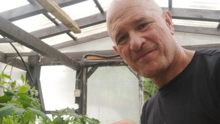 Semilleros: el arte de planificar tu cosecha desde la raíz