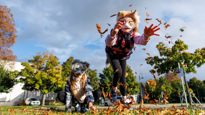 BulerIA: el fenómeno ‘Therian’ inunda las redes sociales