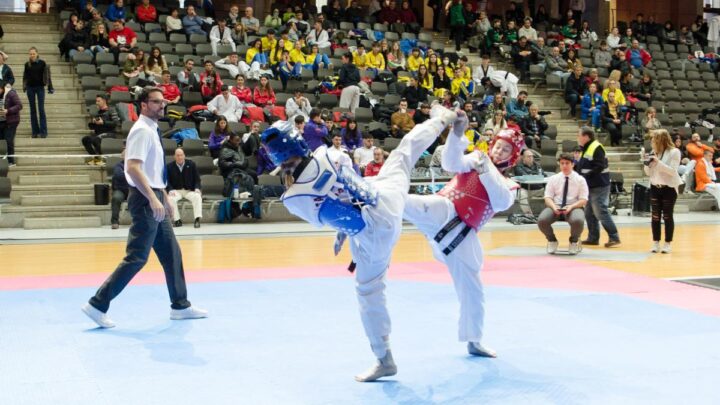 Se acerca la II Copa Bizkaia de Taekwondo