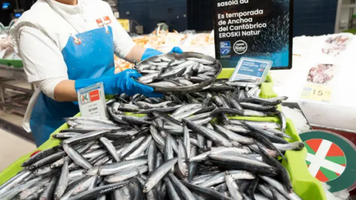 La costera de la anchoa. La incertidumbre del gasóleo amenaza su rentabilidad