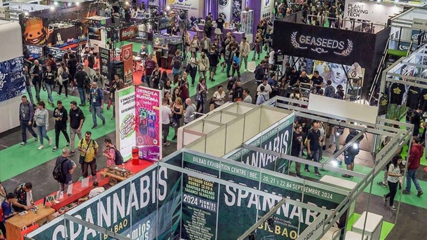 Cannabis en el BEC: mucho más que una planta, una industria millonaria