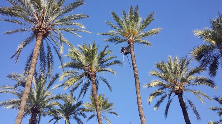 El Surne Bilbao consigue 8 puntos de renta en Turquia