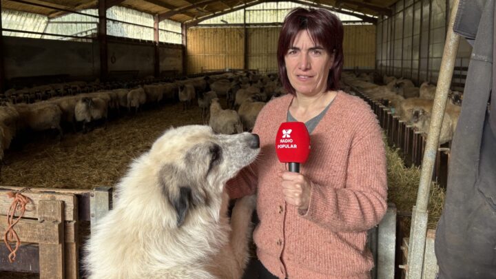 La vida a los pies del Gorbea: vocación, relevo generacional y el papel de la mujer pastora