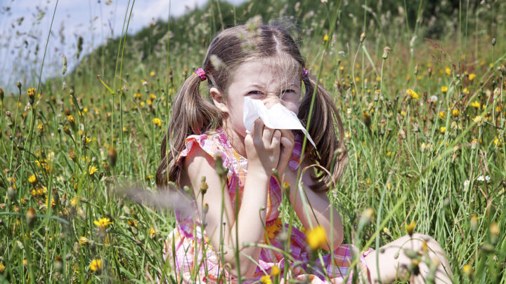 Así será la primavera en Bilbao: no dejes que la alergia al polen te estornude el día