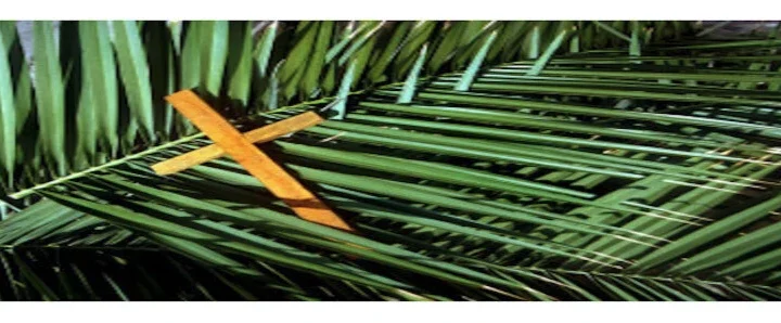 Celebración del Domingo de Ramos desde la catedral de Santiago